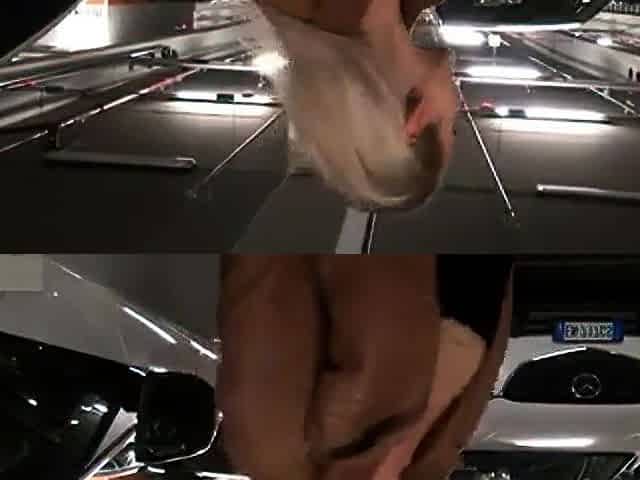 Garage Quickie