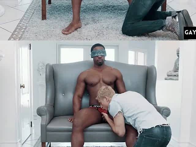 homo ebony large wang