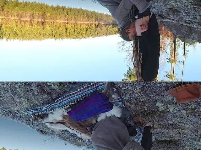 Sex on a reindeer skin next to a forest lake - RosenlundX - 60fps