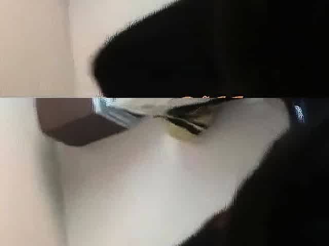 Asian Cheater Bounces on Foreign Dick