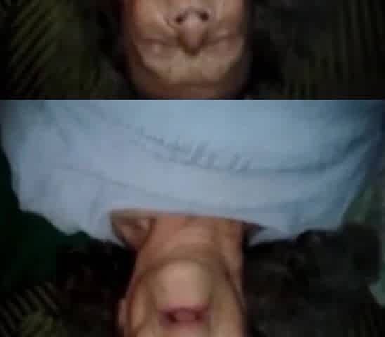 GELA