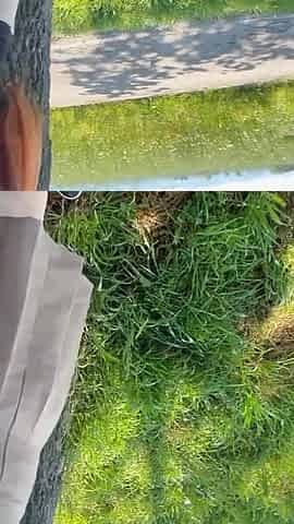 I Give a Blowjob and Swallow to a Stranger
