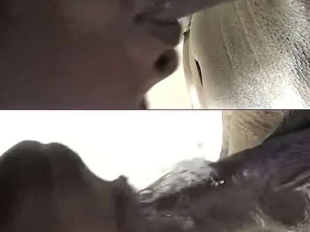 I sucked him Until that guy cum in my throat VERY SLOPPY