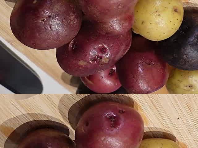 Jenna Starr Cooks Meat and Potatoes Story Time