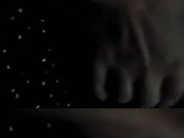 Excellent Adult Movie Pov Private Wild