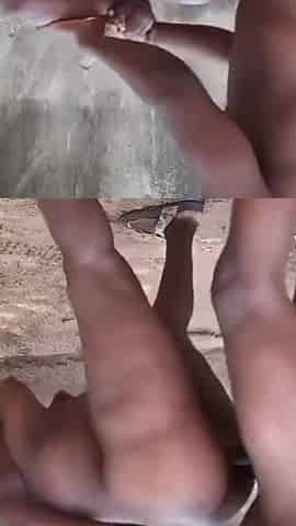 BBC Outdoor Doggy Facial Cumshot
