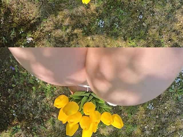 Bringing My Natural Milkers on a Walk