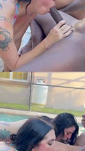 BBC Sharks in the Pool