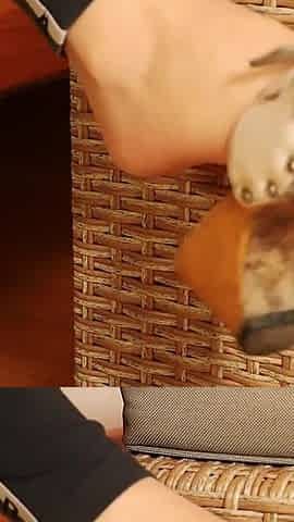 Sheer Nylon Feet in Classic Wooden Mules