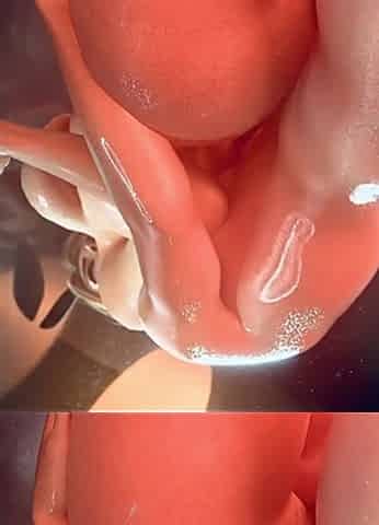 Megaera Intense Hardcore Sex: Tight Pussy Rides Monster Cock with Delicious Hot Ass and Juicy Booty Getting Pounded