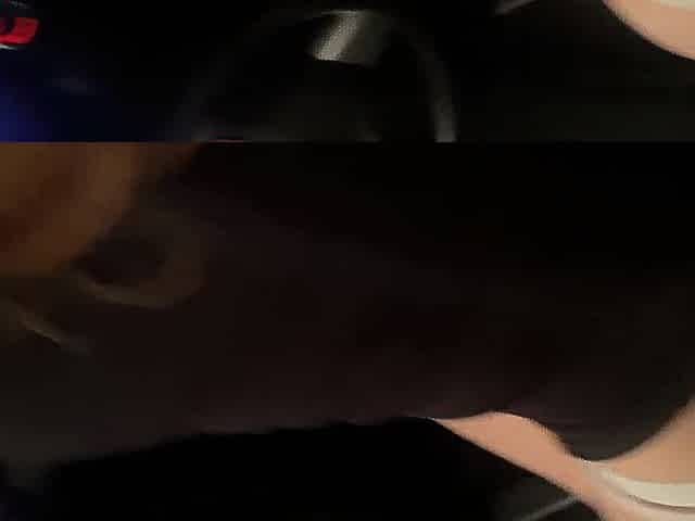 Hot hotty has sex in the car