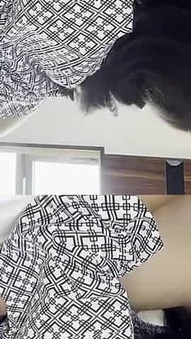 Asian Angel 24917