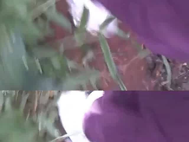 NEARLY CAUGHT STROKING IN THE WOODS
