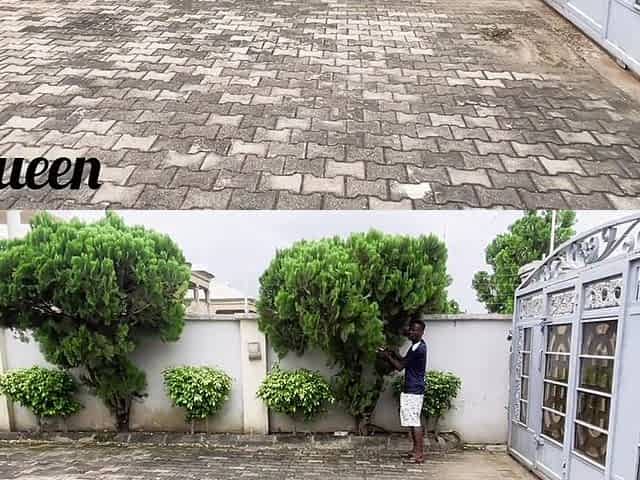 The Gardener with the Giant African Cock