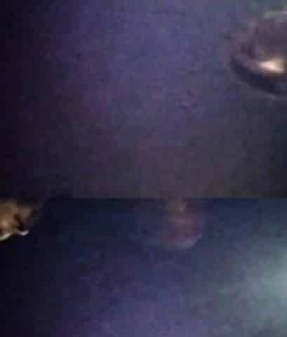 Indian Couple Fucking Outside Road At Night