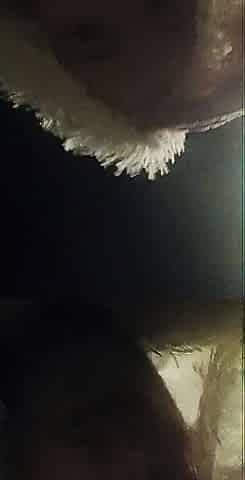 TS wicked sissy faggot floozy cumwalk part three