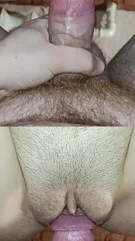Close-up of a Cock Fucking in a Pussy