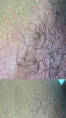 Nepalese Girl's Hairy Juicy Pussy