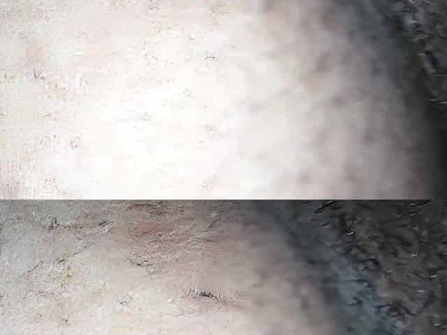Enchanting vagina