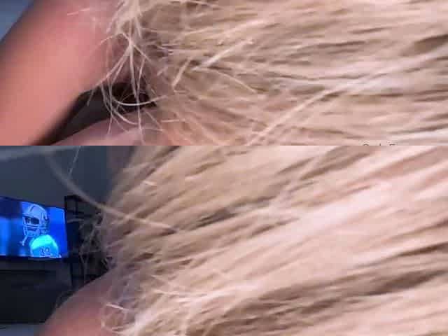 Football Fan TheDanDangler Pov Blowjob And Ride