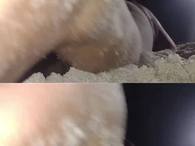Showing off on the Beach for You Guys, Part 2.