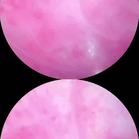 Camera inside of my creamy wet vagina until I cum hard!!