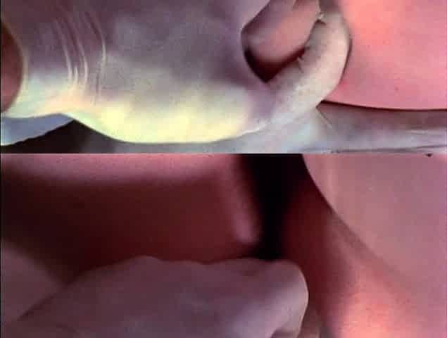 Brunette hookup amateur blowjob and dirtytalk sexdate