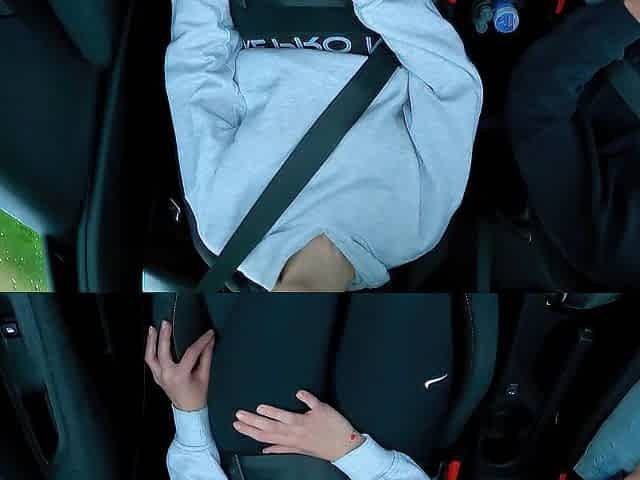 After the driving lesson, things got hawt inside the car