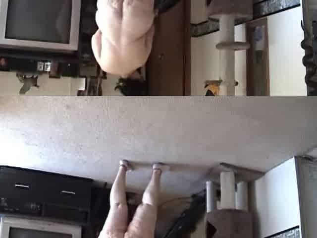 big beautiful woman vacuuming in the In nature's garb Lots of large butt bending over shots - Not HD