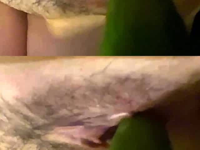 Fat pussy fuck cucumber