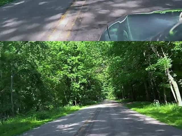 Gave Her a Creampie in Nature (nearly Caught)