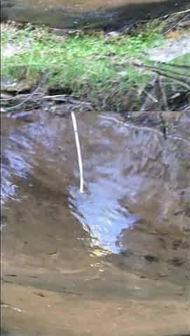 Squishing Mud Between my Toes in a Mountain Stream Daybed