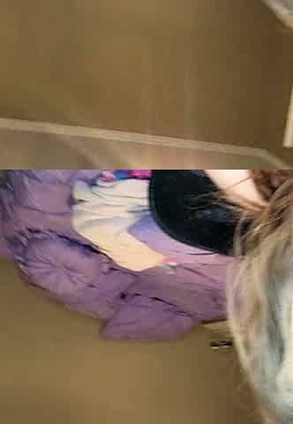 Love Chat Big Boobs Brunette Masturbating For Cam