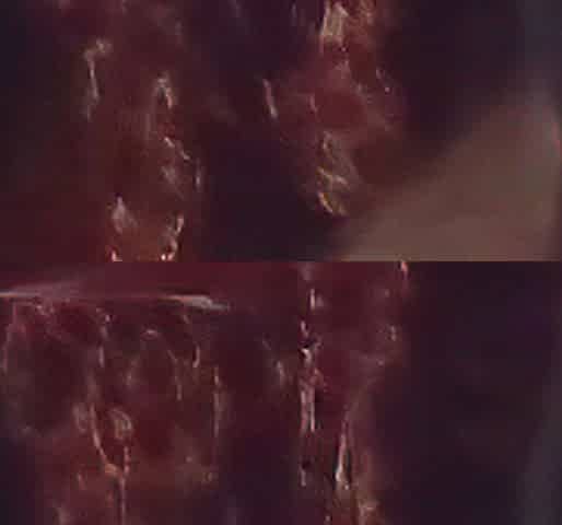 Hawt youthful latin chick sucks my penis all day and rides penis like a doxy
