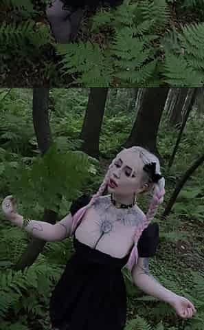 The Forest Is My Salvation!