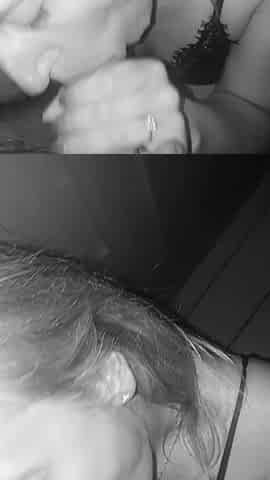 Wife Suck My Dick.