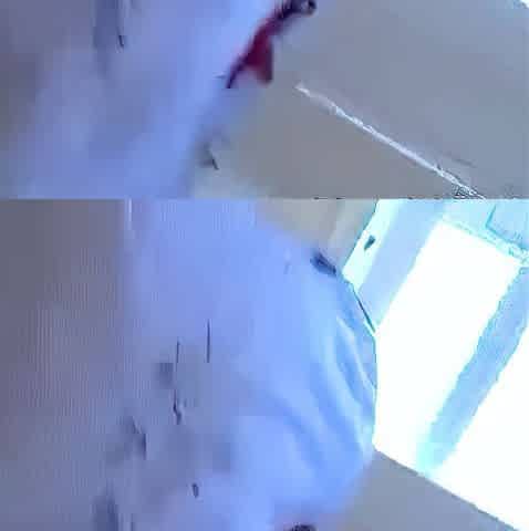 Amateur MILF blowjob cumshot