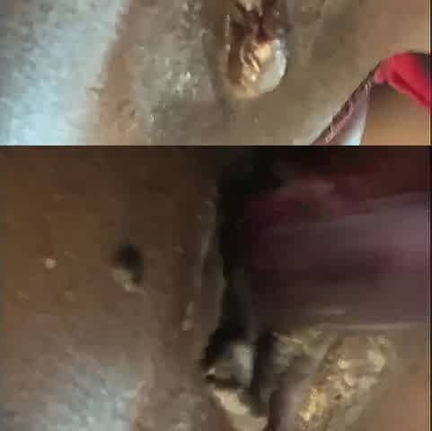 Playing with my creamy vagina and Squirting on my toy