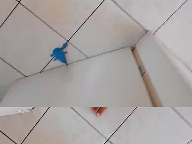 Hide and look for nearly ended up in sex