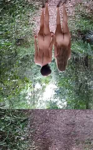 What Could Be More Beautiful Than Two Naked Fairies in the Forest?