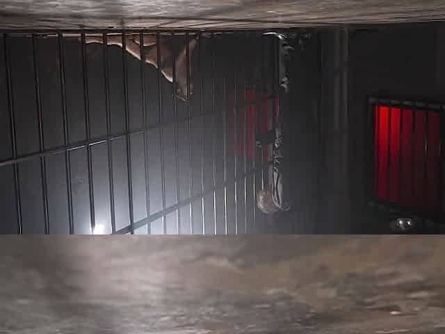 purupuru-fuck-koda-1313