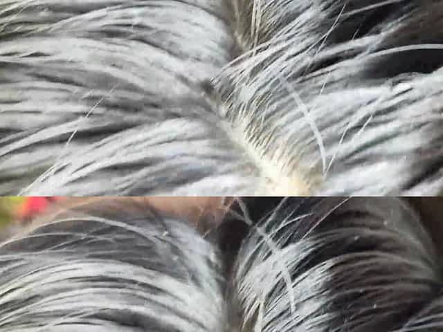 Shy Girl Is Very Slutty and an Expert in Anal Sex
