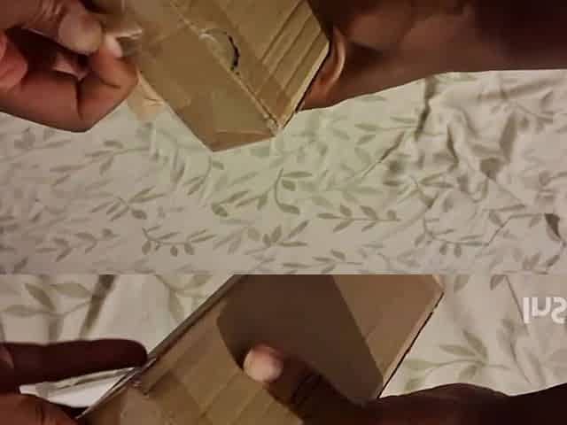 Unboxing My Lovense's Adult Toys