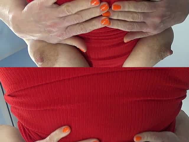 Great Tits. Great Views