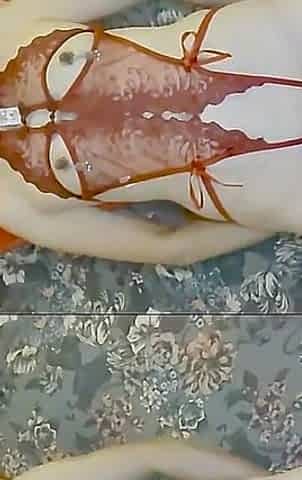 Mayu No91 Shaved, Cosplay, Deepthroat, Collar, Blindfold, Anal Beads in 2 Holes, Squirting, Creampie, Cleaning Blowjob