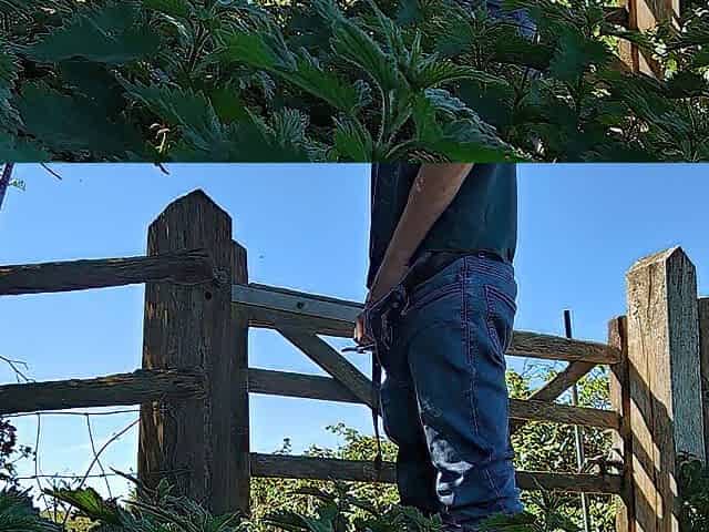 Pissing in the great outdoors