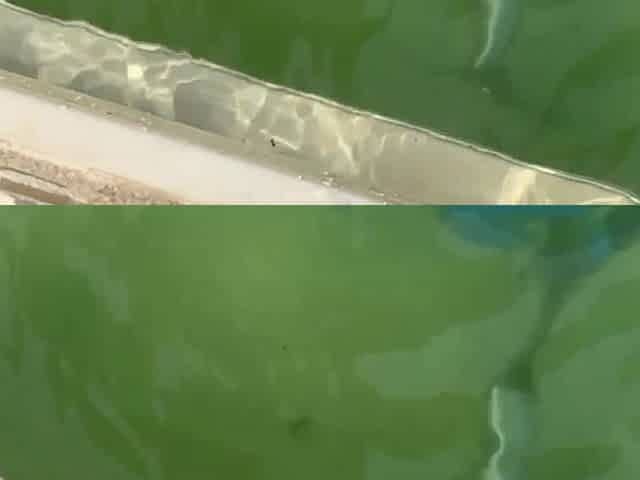 Picked up by the pool hot skinny Latina and fucked her in my room