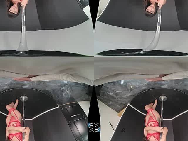 Diy Strip Club