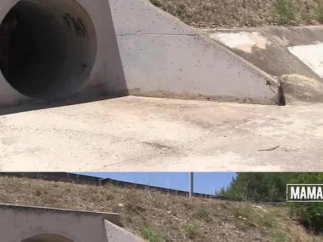 I Sucked Him Off in a Drainage Ditch Untill My Spit Ran Down His Balls