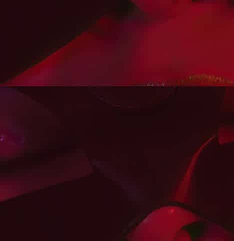 Vampire Romance (teaser)